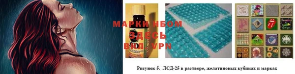 ПСИЛОЦИБИНОВЫЕ ГРИБЫ Инсар