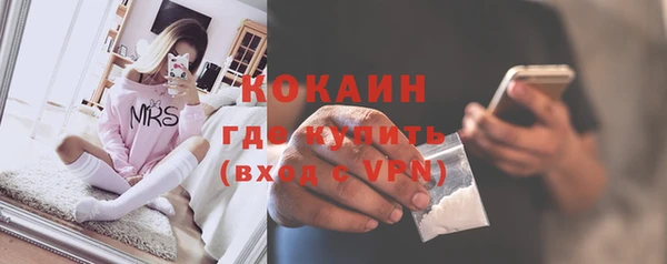 ПСИЛОЦИБИНОВЫЕ ГРИБЫ Инсар