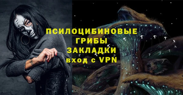таблы Инта