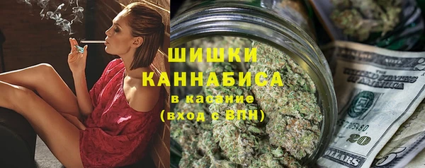 ПСИЛОЦИБИНОВЫЕ ГРИБЫ Инсар