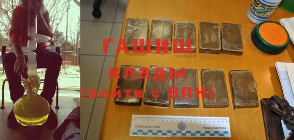 ПСИЛОЦИБИНОВЫЕ ГРИБЫ Инсар