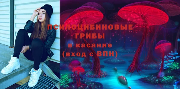 гашишное масло Заводоуковск