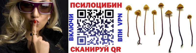Купить закладки Кумертау Псилоцибиновые грибы Cubensis